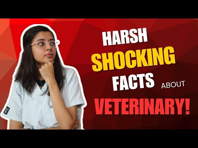 Harsh Truths about Veterinary | Vet Visit