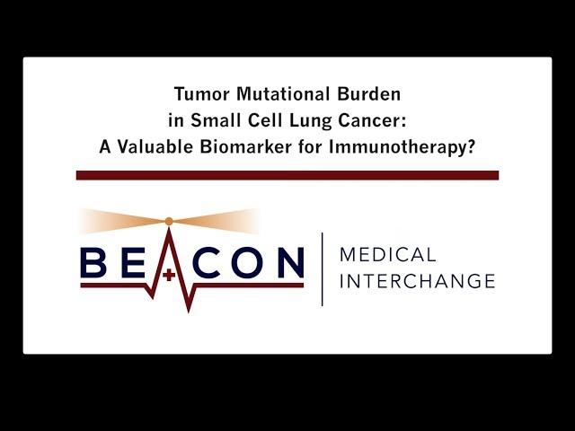 Tumor Mutational Burden in SCLC: A Valuable Immunotherapy Biomarker? (BMIC-011)