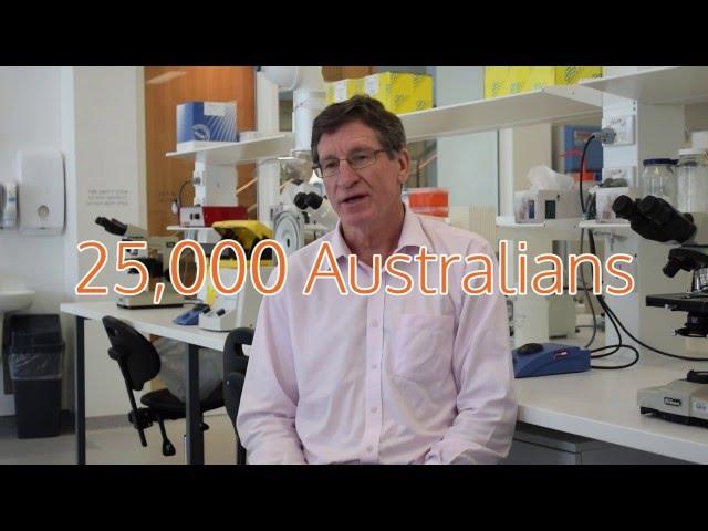 Westmead Institute Kidney Research