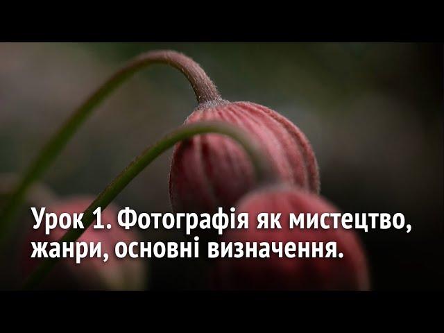 Урок 1. Курс Основи фотографії