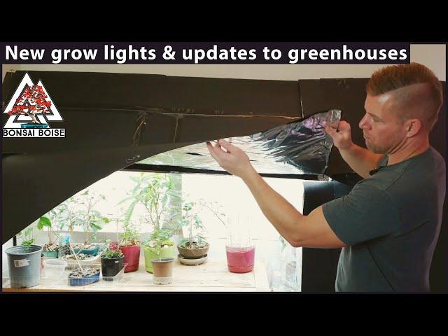 New Bonsai grow lights & updates to indoor greenhouses