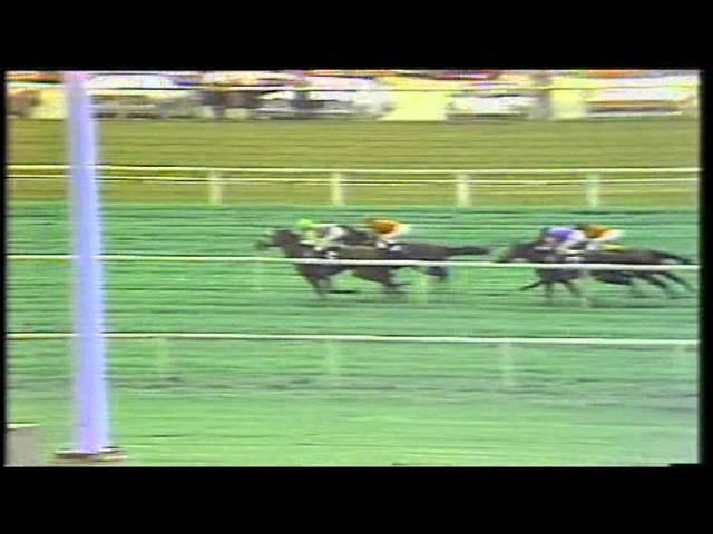 1981 Arlington MIllion John Henry