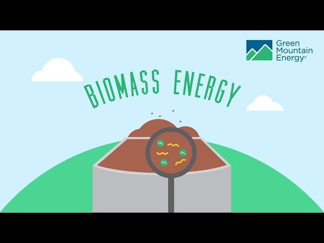 Renewable Energy 101: How Does Biomass Energy Work?