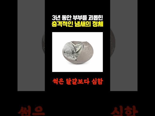 3년 동안 부부를 괴롭힌 충격적인 냄새의 정체