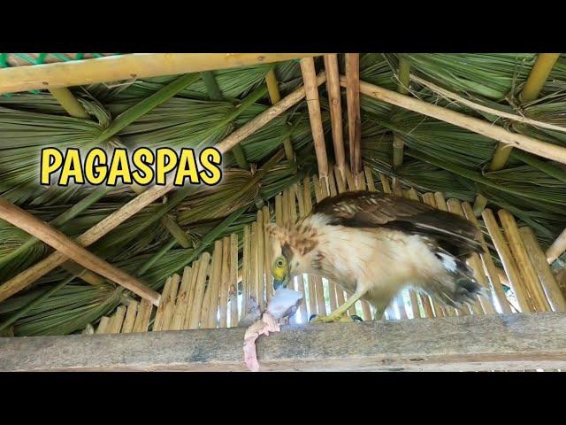 PAGASPAS AYAW KUMAIN NG ISDA, KARNE ANG GUSTO