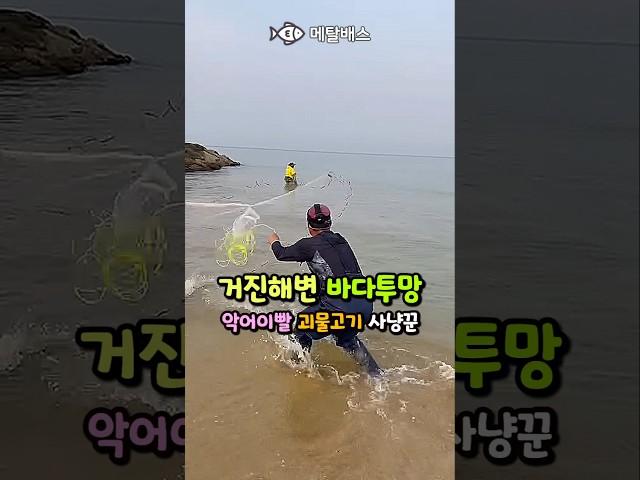 투망유튜버 힐링투망님이 촬영해주신 메탈배스 바다투망,악어이빨을 가진 괴물고기,몬스터피쉬, 고성동해바다 거진항 거진해변자산천 동갈치투망,castnet,fishing,playpesca