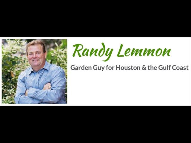 Randy Lemmon - Garden Guy for Houston & the Gulf Coast