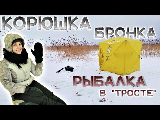 КОРЮШКА БРОНКА КРОНКОЛОНИЯ краткий отчет