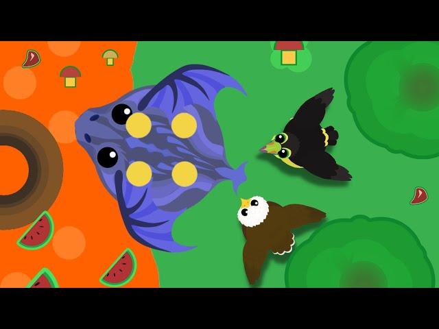 mope.io | King Dragon Hunting Compilation | Toucan & Eagle kills Black Dragon