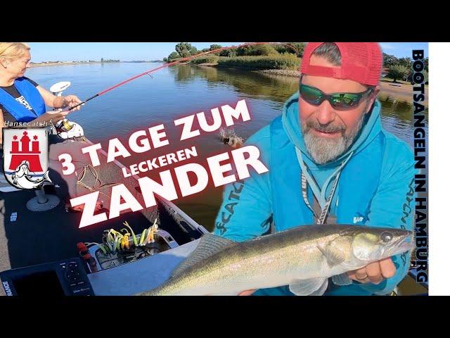 3 Tage zum leckeren Zander (Bootsangeln in Hamburg)