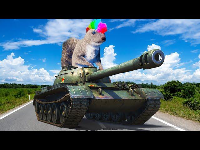SQUIRREL WITH A TANK?! (Squirrel With A Gun)