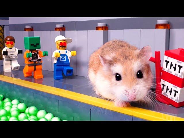 MAJOR HAMSTER vs EVIL FORCES - FULL STORY with real life pets