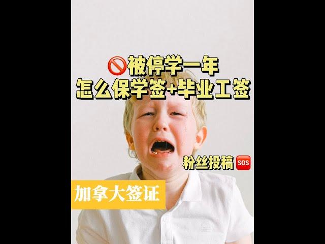 【加拿大签证】被停学一年，怎么保学签+毕业工签？#加拿大留学 #加拿大签证