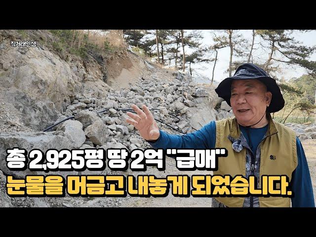 총 2,952평 땅 2억으로 "급매" 갤러리를 위해 건축을 준비했지만 자금난으로 어쩔수 없이 눈물을 머금고 급하게 내놓습니다.