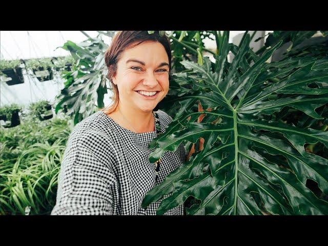 I love a good garden center (Plant Shopping at Groovy Plants Ranch) | VLOG