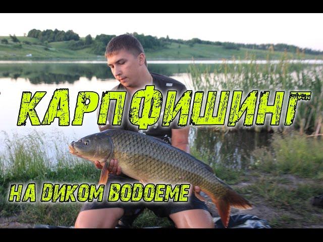 Ловля карпа на диком водоеме, карпфишинг