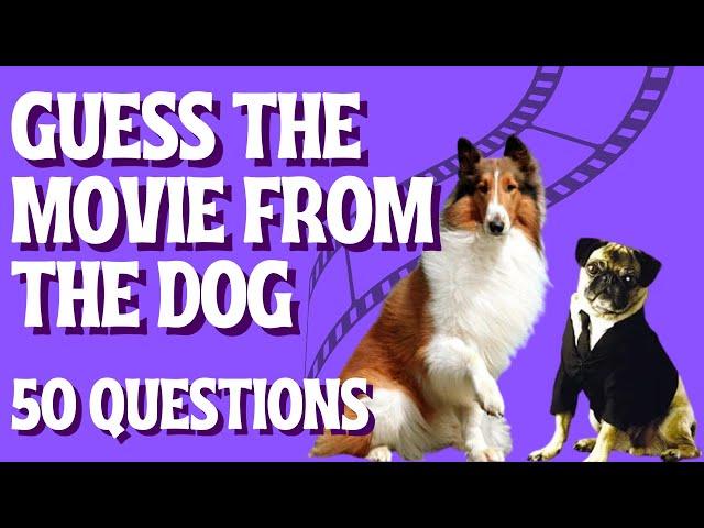 Guess the Movie From the Dog Picture Quiz | Test Your Film Knowledge (50 Questions)