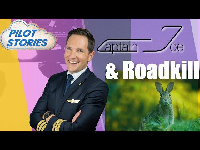 Captain Joe and A320 Road Kill!  Pilot Stories