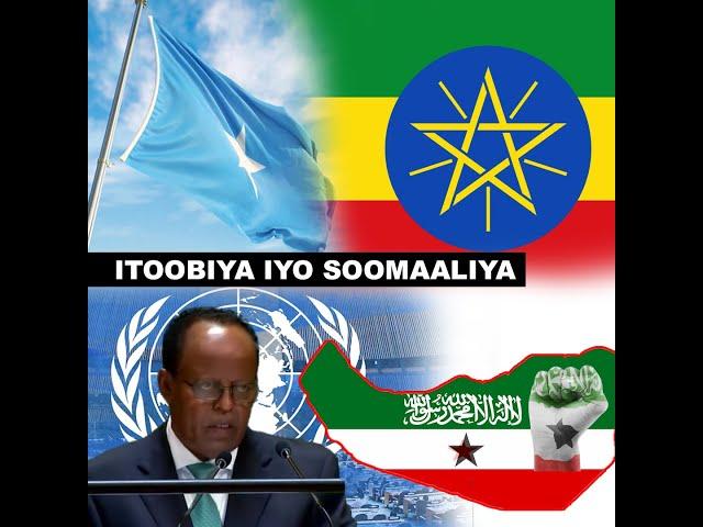 Turjumaad : Heshiiska Ethiopia iyo Somaliland oo fagaaraha Qaramada midoobay gaadhay.