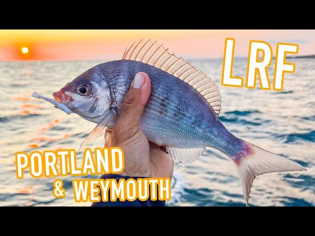 Summer LRF Fishing around Weymouth & Portland