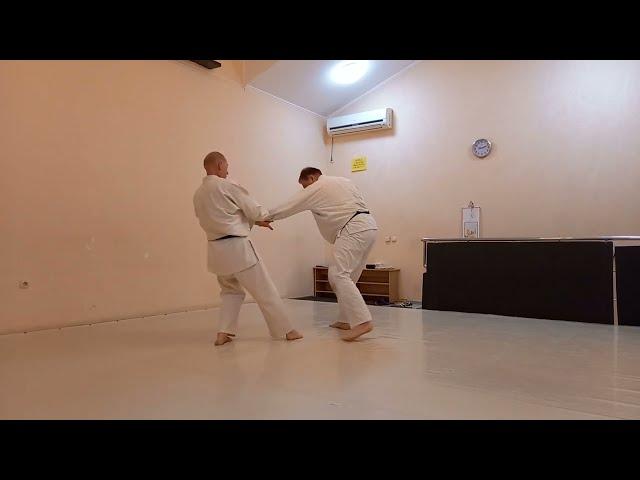 Обычное Айкибудо: базовые броски Ordinary Aikibudo: nage waza