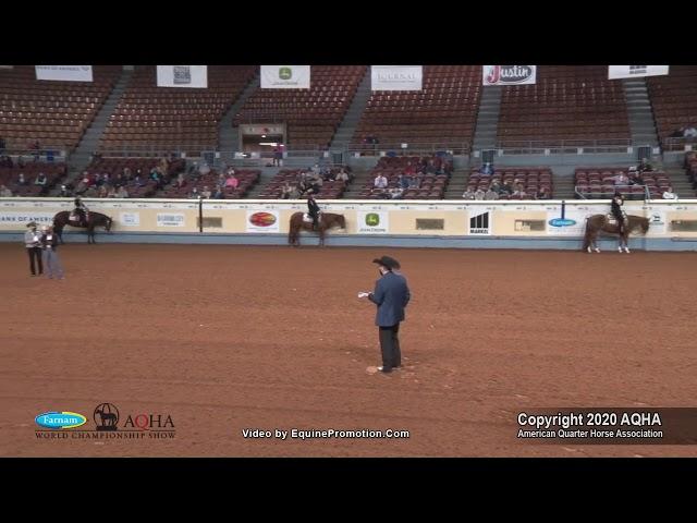 2020 AQHA 2-Year-Old Western Pleasure