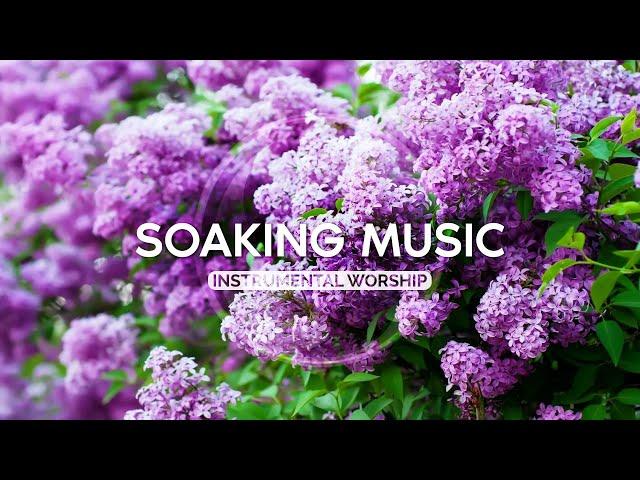 Soak 3 hours • Calm Music • For Staying in the Glory of God