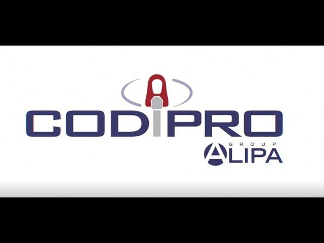 Codipro Gradup Specialist in Swivel Lifting Rings