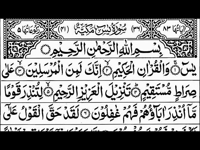 Surah Yaseen | quran tilawat | Surah Rahman Episode 834| Daily Quran Tilawat Surah Yaseen Ki Tilawat