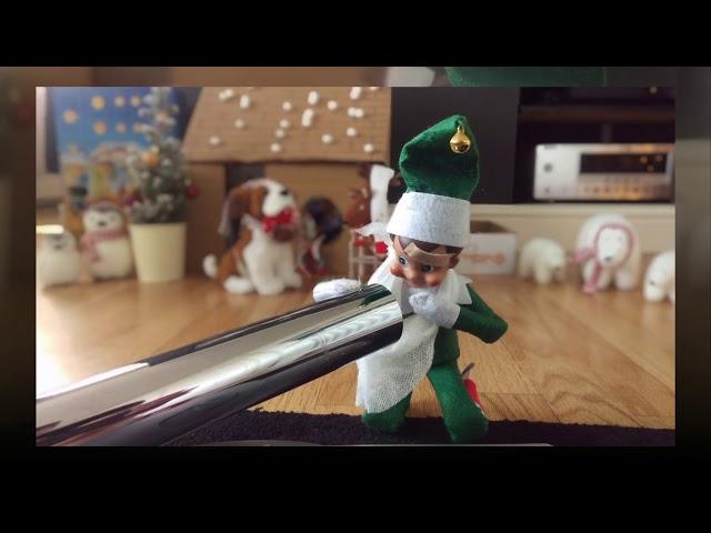 Elfia and Smerk - Christmas 2016 - Elf on the Shelf