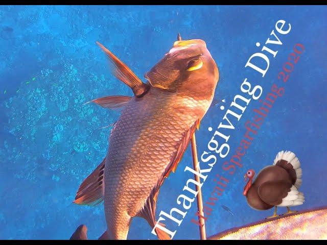 Thanksgiving Dive | Hawaii Spearfishing 2020