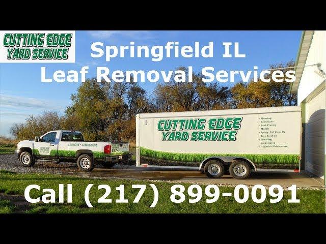 Springfield Il Fall Leaf Cleanup Services From Cutting Edge Yard Service