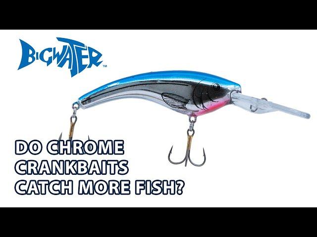 Do Chrome Crankbaits Work Best for Walleye Fishing in Lake Erie? - Bigwater Fishing Podcast