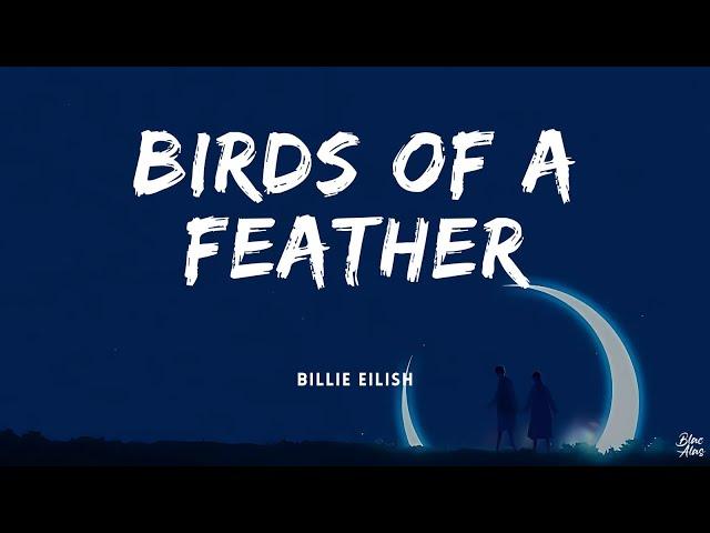 Birds of a feather • BIllie Eilish(Lyrics)