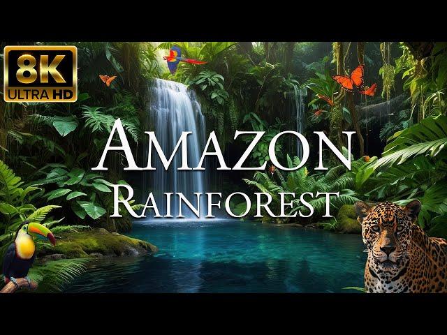 Amazon Rainforest 8K ULTRA HD | Wild Animals of Amazon Jungle | Nature Forest