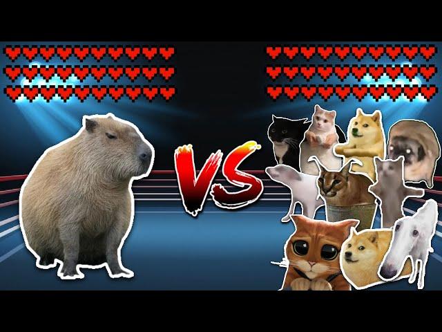 Giant Capybara vs All Cats and Dogs! Meme battle