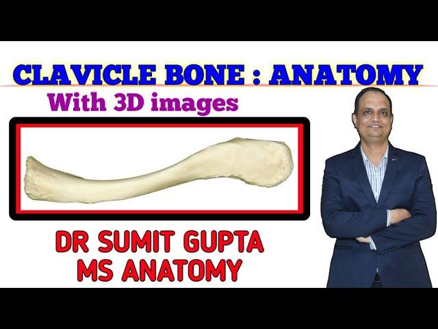 CLAVICLE BONE : ANATOMY