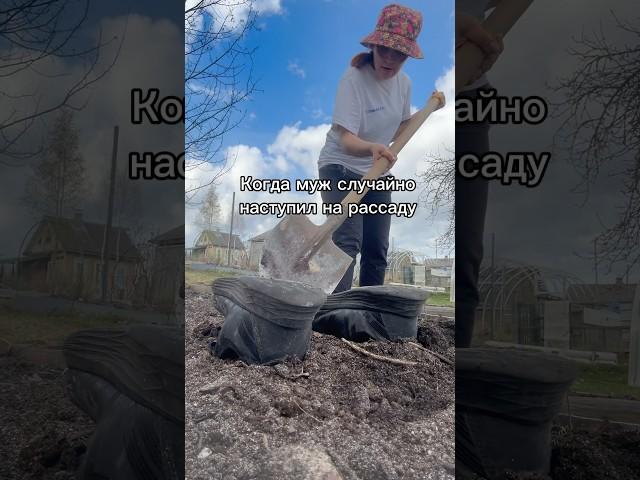 Это парень был из тех…#весна #юмор #обзордачи #дача #моядача #огород #рассада #природа #мужжена