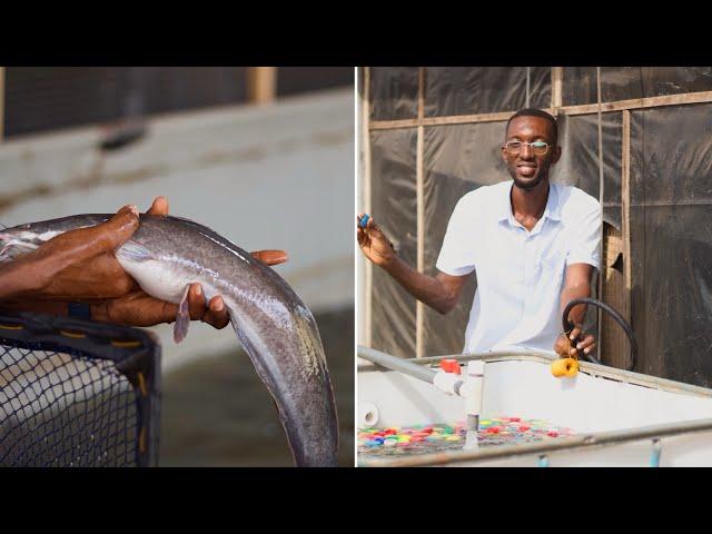 How To Grow CatFish Without Water Change ( Recirculating Aquaculture System) - part 3