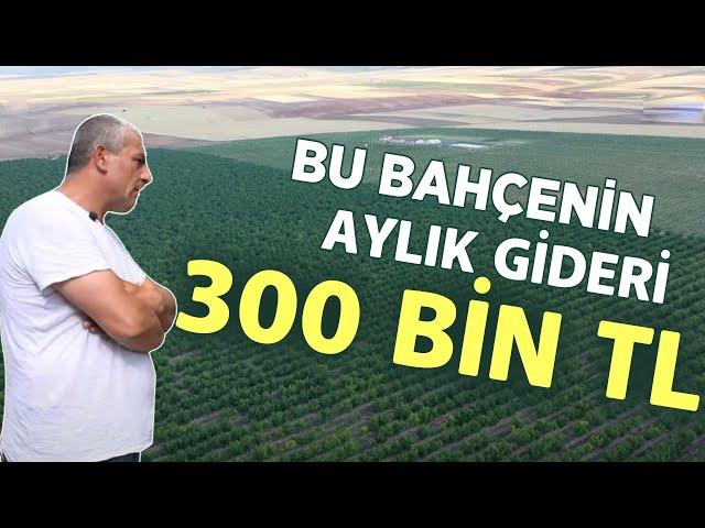 Bu Bahçenin Aylık Gideri 300 Bin TL - Çetin Ceviz