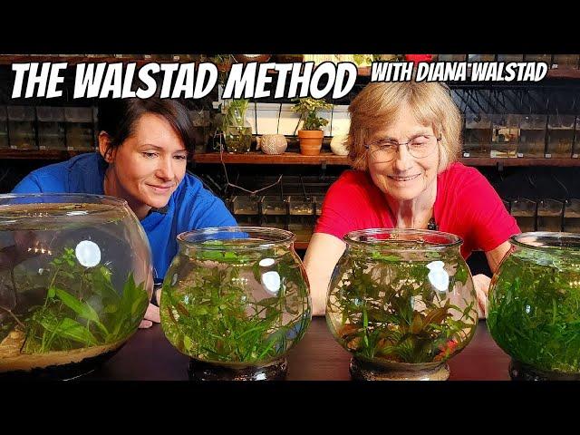 The Simplest Planted Aquarium With Diana Walstad