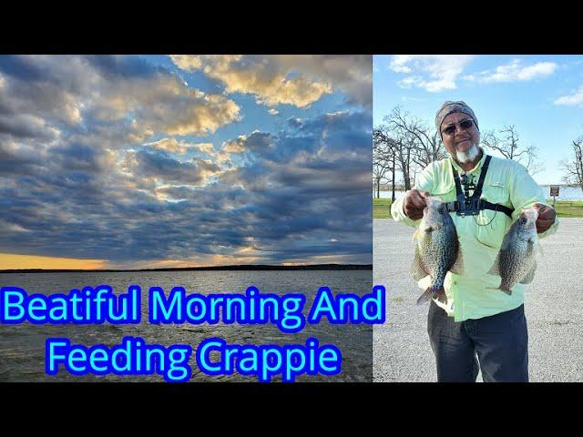 Crappie Fishing - Crappie Spawn Transition - Spawning Crappie  - How To Catch Transition Crappie