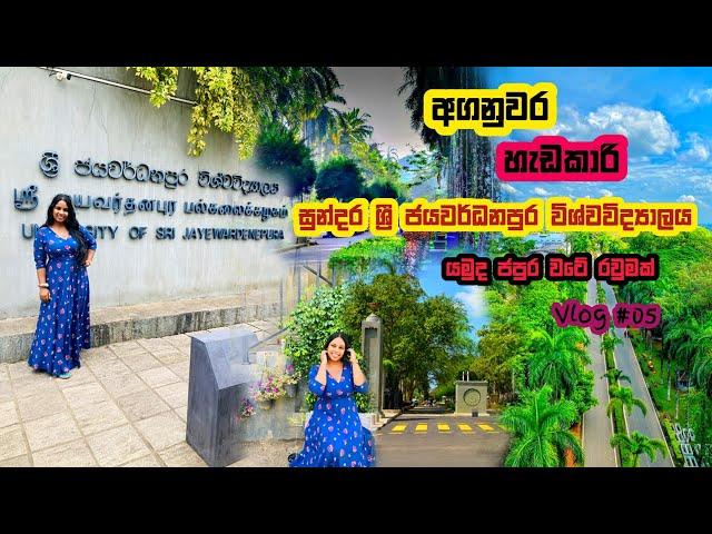 University Of Sri Jayewardenepura | යමුද ජපුර වටේ රවුමක් | Full Video | Vlog #05