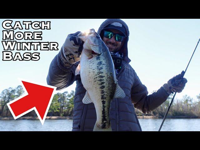 Don't Overlook this KILLER COLD WATER BAIT!!