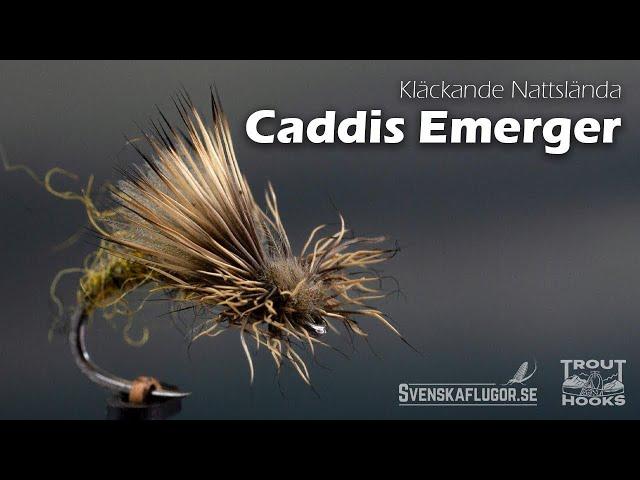 Caddis Emerger | Flugbindning | Svenskaflugor.se