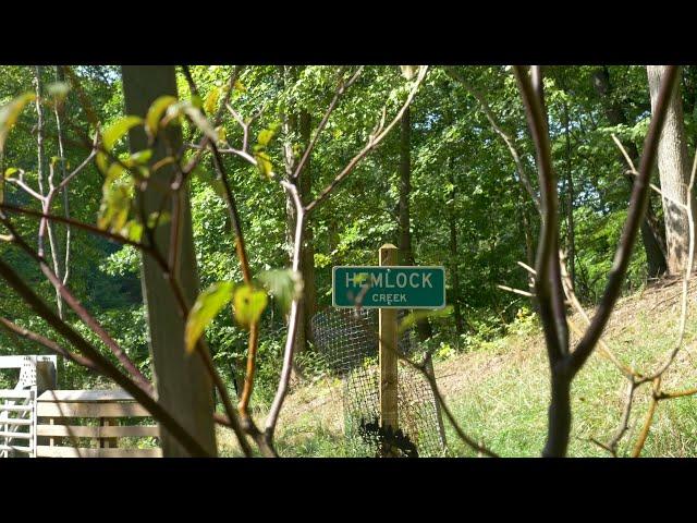 Hemlock Creek Trail in Independence, Ohio