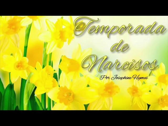 La Temporada de Narcisos |Capítulo 10| Sra. Graham - Sra. Grandchester  (Parte 1)