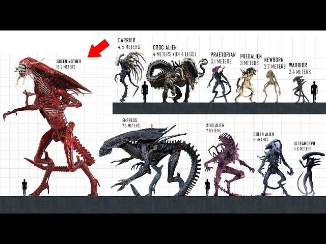 XENOMORPH Size Comparison