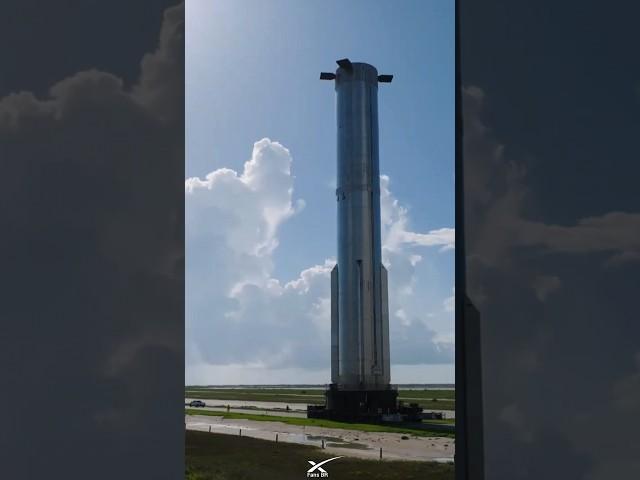 Elon Musk on Starbase #spacex #elonmusk #space #spaceflight #elonmuskspacex #edit