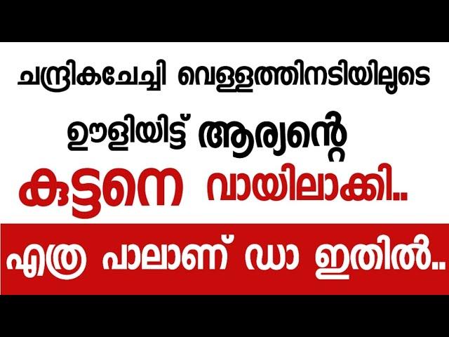 ആര്യൻ 4..| meerastories.